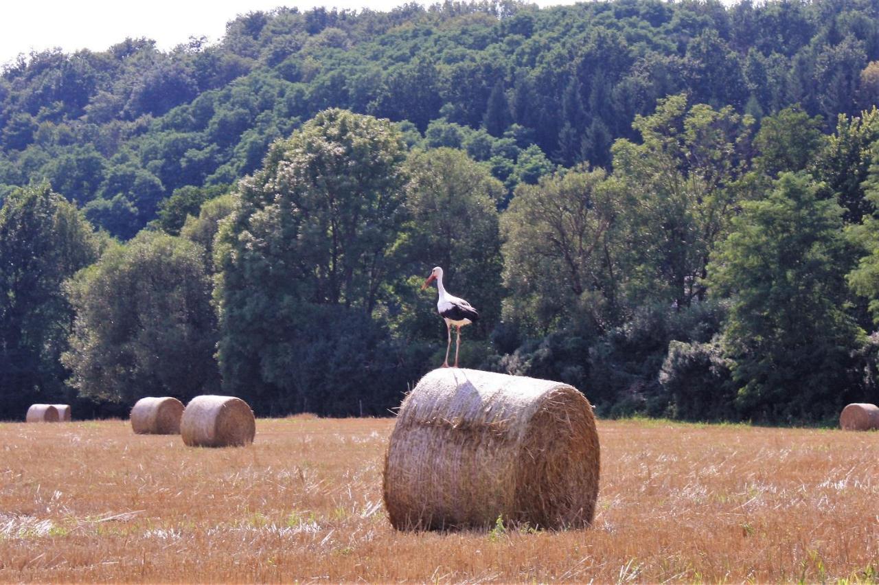 Naturpark Vendégház Alsoszolnok Extérieur photo